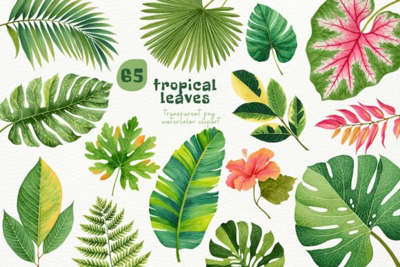 Download Watercolor Tropical Leaves PNG Clipart - Leaves png Collection